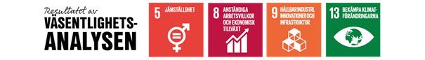 Väsentlighetsanalys
